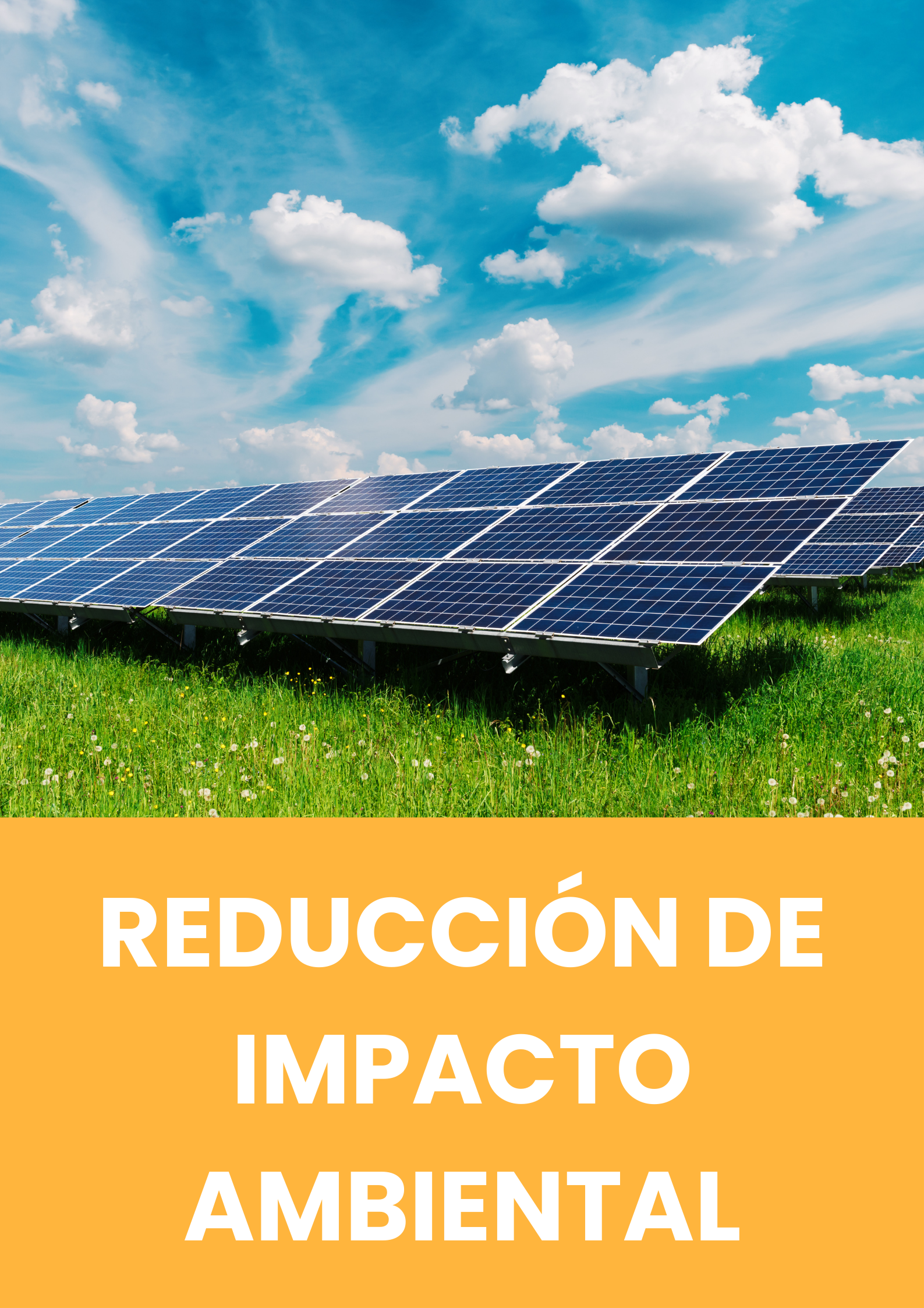 Reduccion huella ecologica